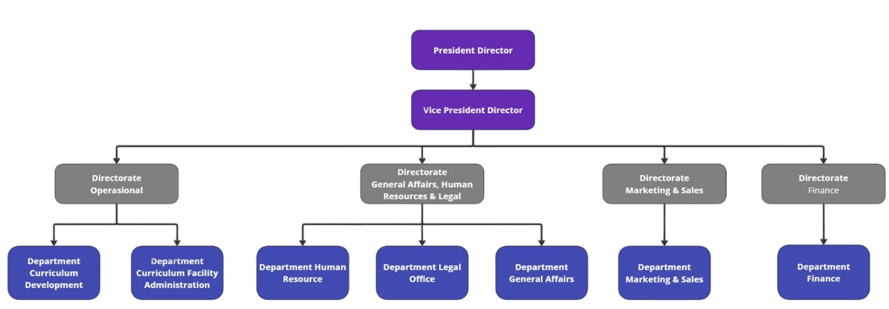 Our Organization Structure